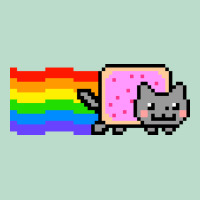 Nyan Cat Premium Hoodie | Teevron