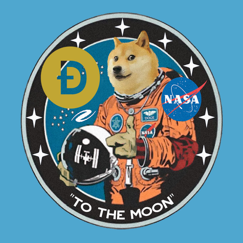 Doge Premium Hoodie by artisFamous | Teevron