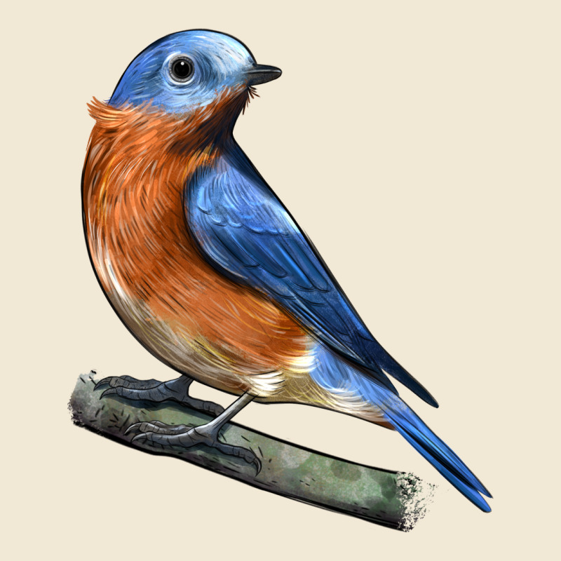 Eastern Bluebird Ladies Tee by LillyAllenDesigns | Teevron