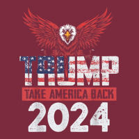 Trump 2024 Take America Back Premium Hoodie | Teevron