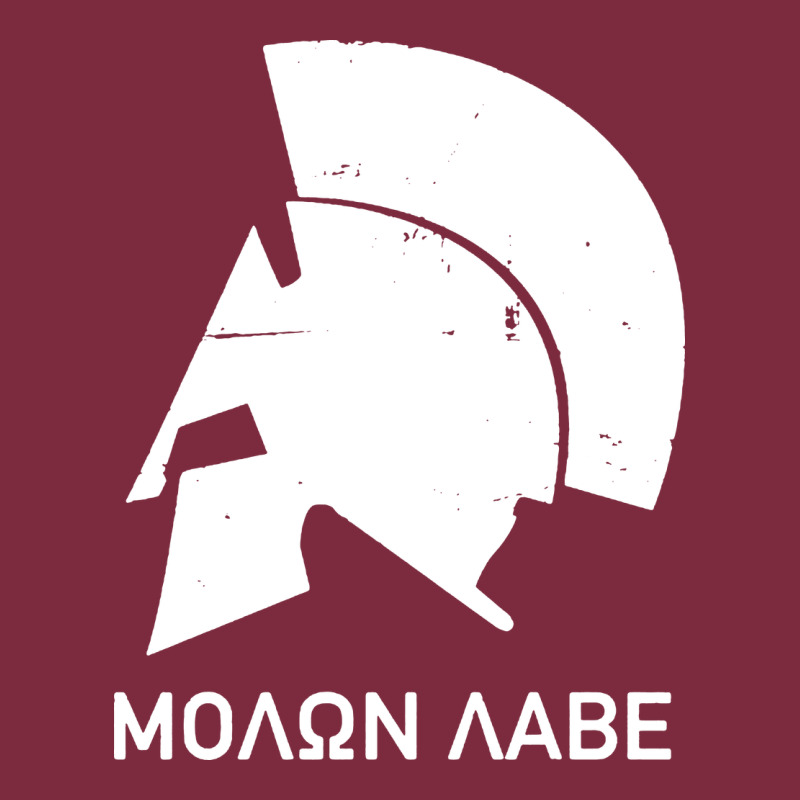 Spartan Helmet Premium Hoodie by artisFamous | Teevron