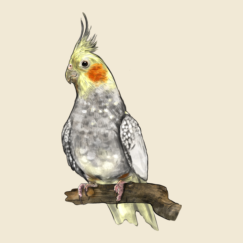 Cocktail Parrot Ladies Tee by LillyAllenDesigns | Teevron