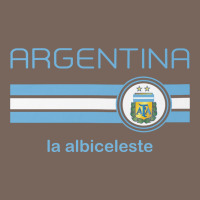 Soccer Argentina Jersey Argentinian Football La Albiceleste Premium Hoodie | Teevron