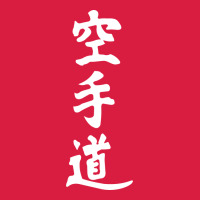 Kanji Karate Premium Hoodie | Teevron