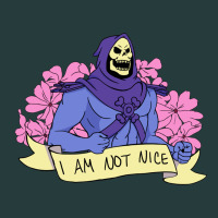 Vintage Skeletor ı Am Not Nice Premium Hoodie | Teevron