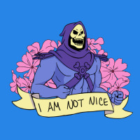 Vintage Skeletor ı Am Not Nice Premium Hoodie | Teevron