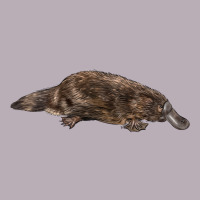 Platypus Vintage Tee | Teevron