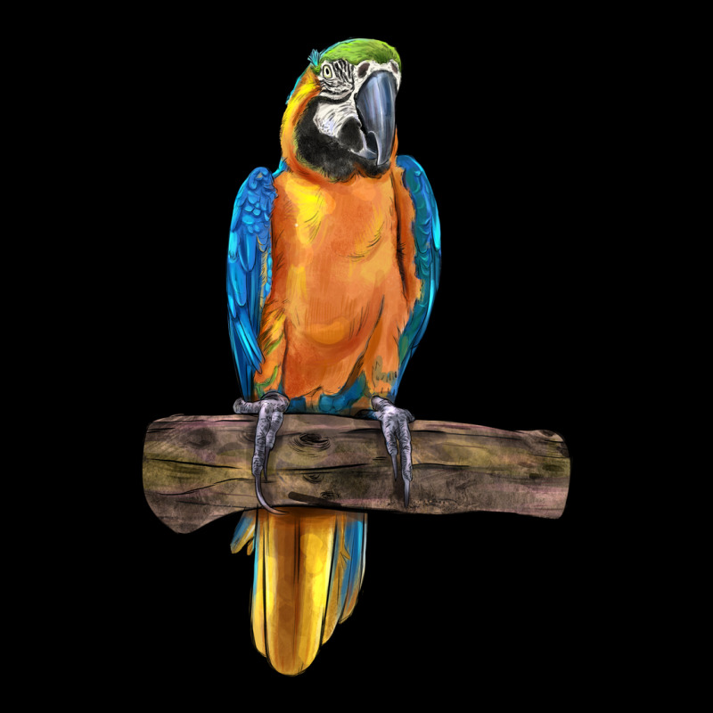 Blue Throated Macaw Ladies Tee by LillyAllenDesigns | Teevron