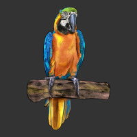 blue throated macaw | Teevron