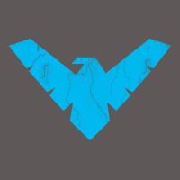 Nightwing Premium Hoodie | Teevron