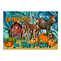Cutest Pumpkins In The Patch | Teevron