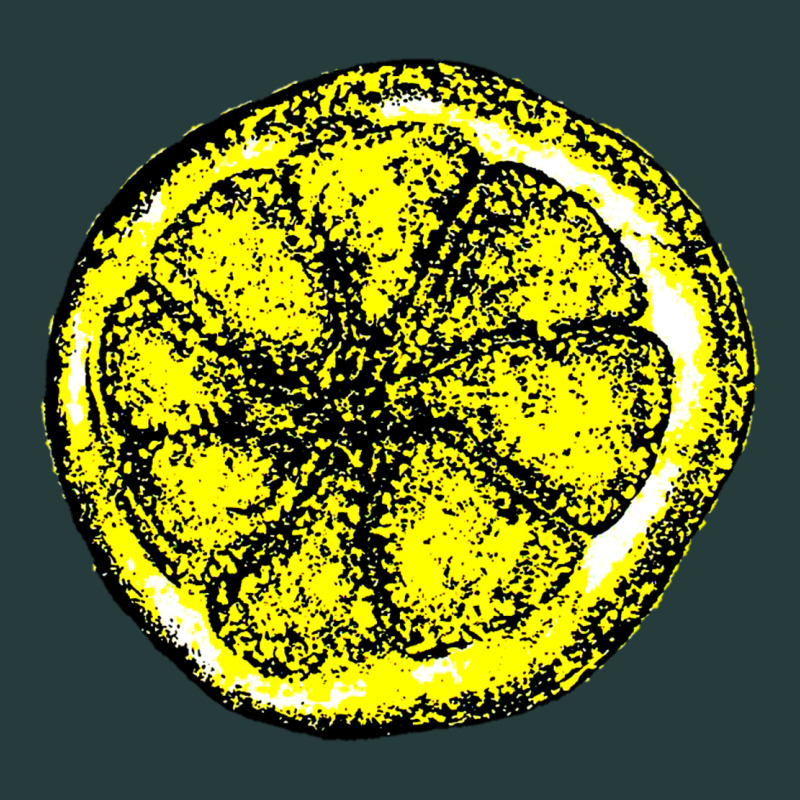 The Stone Roses Premium Hoodie by artisFamous | Teevron