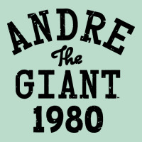 Andre The Giant 1980 Premium Hoodie | Teevron