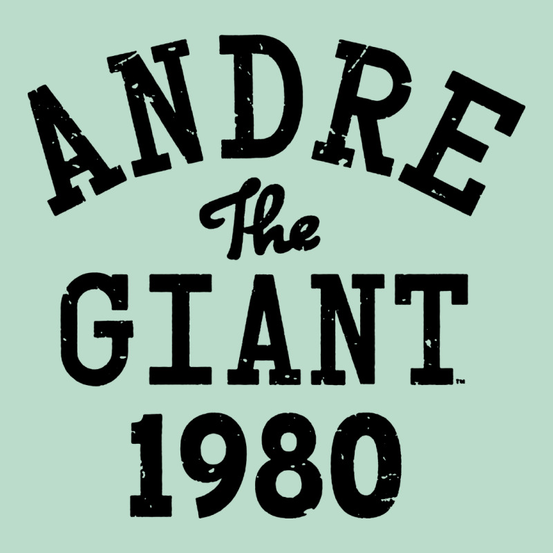 Andre The Giant 1980 Premium Hoodie by artisFamous | Teevron
