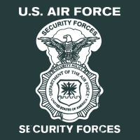 Air Force Security Forces Premium Hoodie | Teevron