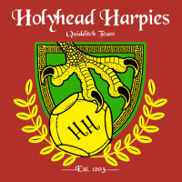 Holyhead Harpies Premium Hoodie | Teevron