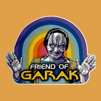 Friend Of Garak Premium Hoodie | Teevron