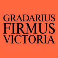 Gradarius Firmus Victoria Premium Hoodie | Teevron