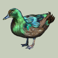Cayuga Duck Ladies Tee | Teevron