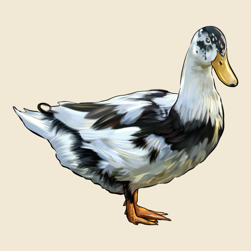 Ancona Duck Ladies Tee by LillyAllenDesigns | Teevron