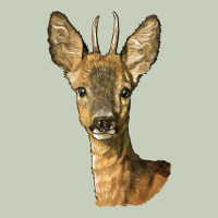 Red Brocket Deer Head Ladies Tee | Teevron