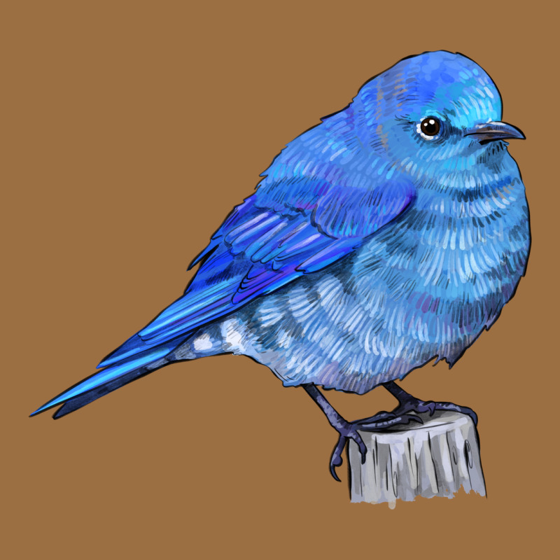 Mountain Bluebird Vintage Tee by LillyAllenDesigns | Teevron