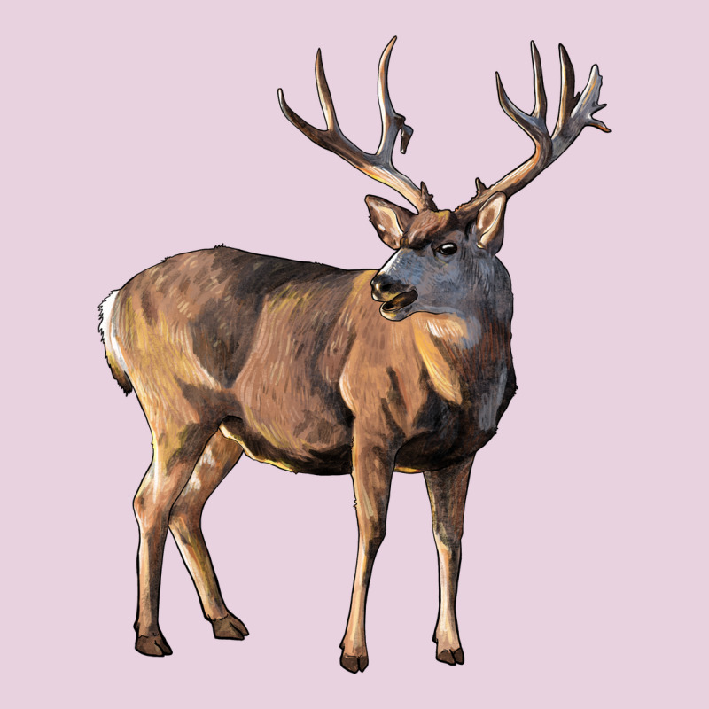 Mule Buck Deer Ladies Tee by LillyAllenDesigns | Teevron