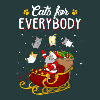 Cats For Everybody Cat Christmas Ugly Christmas Sweatshirt Premium Hoodie | Teevron