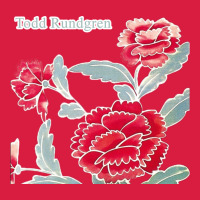 Todd Rundgren Album Art Premium Hoodie | Teevron