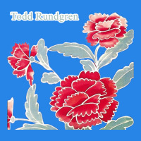 Todd Rundgren Album Art Premium Hoodie | Teevron