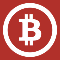 Bitcoin Premium Hoodie | Teevron