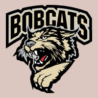 Bismarck Bobcats Premium Hoodie | Teevron