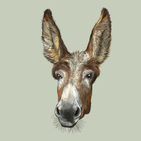 American Mammoth Jackstock Donkey  Face Ladies Tee | Teevron