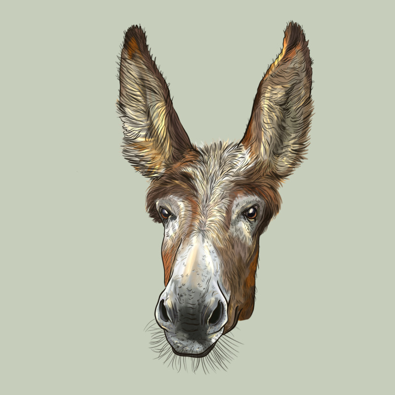 American Mammoth Jackstock Donkey  Face Ladies Tee by LillyAllenDesigns | Teevron