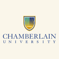 Chamberlain College Nursing Premium Hoodie | Teevron