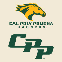 Cal Pol Pomona Premium Hoodie | Teevron