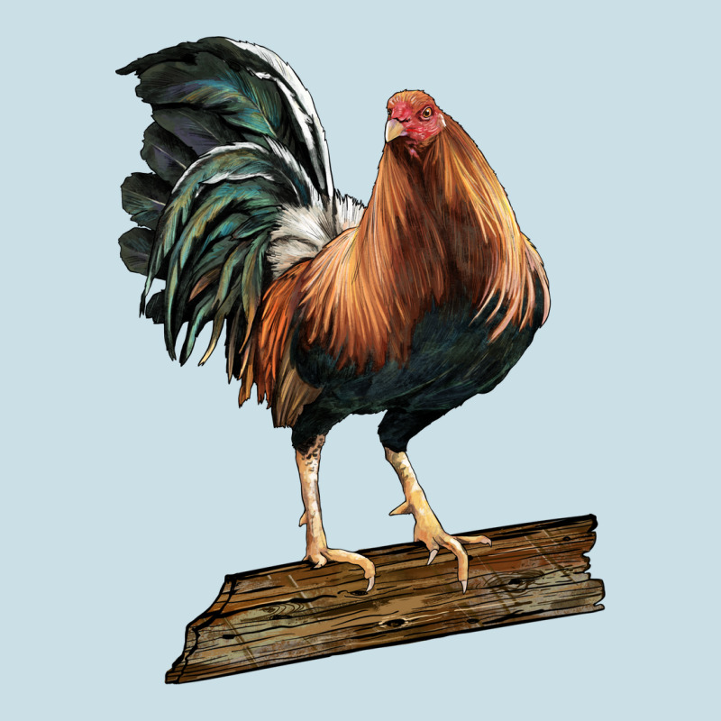 American Game Rooster Standing Ladies Tee by LillyAllenDesigns | Teevron