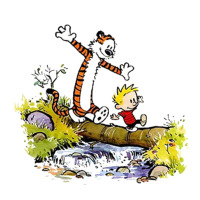 calvin and hobbes bill watterson | Teevron