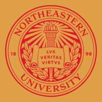 Northeastern University Premium Hoodie | Teevron