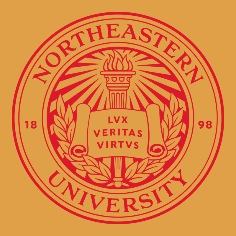 Northeastern University Premium Hoodie by artisFamous | Teevron