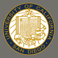 University Of California, San Diego Premium Hoodie | Teevron