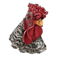 Dominique Rooster Head Ladies Tee | Teevron