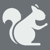 Squirrel Premium Hoodie | Teevron