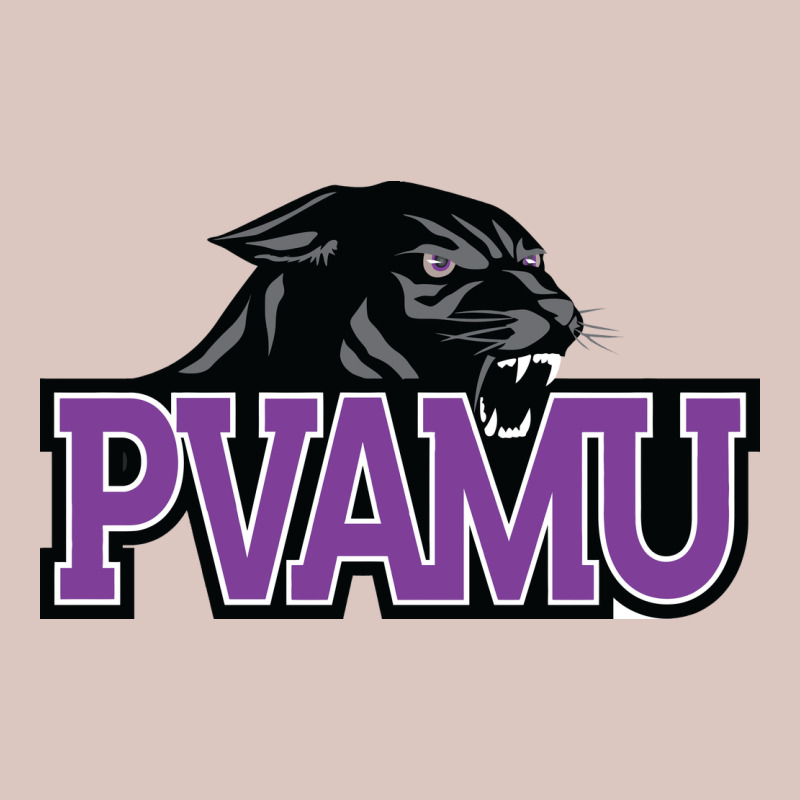 Prairie View A&m Panthers And Lady Panthers Premium Hoodie by artisFamous | Teevron