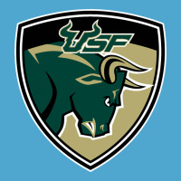 South Florida Bulls Premium Hoodie | Teevron