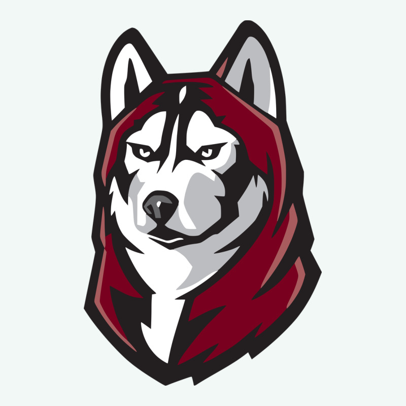 Bloomsburg Huskies Premium Hoodie by artisFamous | Teevron