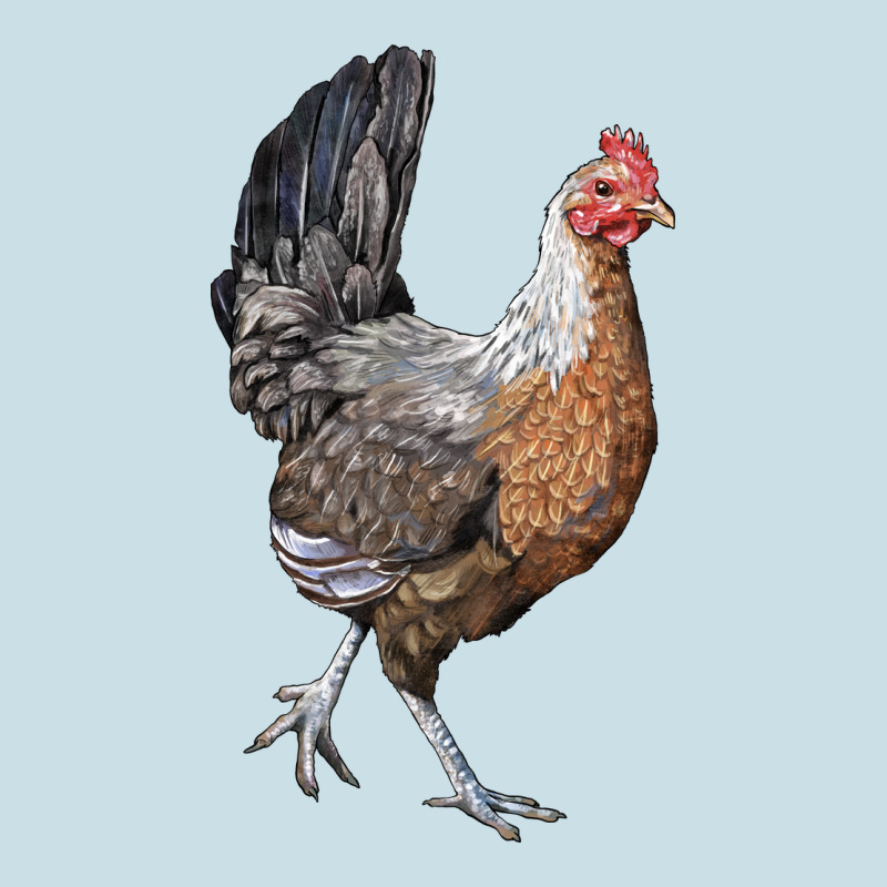 American Game Chicken Ladies Tee by LillyAllenDesigns | Teevron