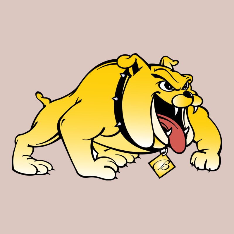 Bowie State Bulldogs Premium Hoodie by artisFamous | Teevron