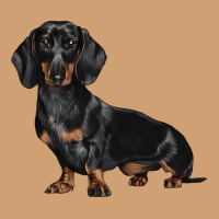 Dachshund Dog Illustrations Vintage Tee | Teevron