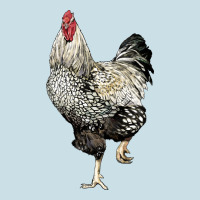 Wyandotte Rooster Ladies Tee | Teevron